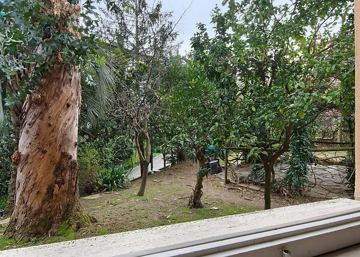 House Il Glicine - Pet Friendly Lejlighed Santa Margherita Ligure